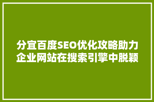 分宜百度SEO优化攻略助力企业网站在搜索引擎中脱颖而出