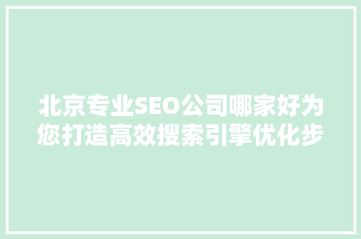 北京专业SEO公司哪家好为您打造高效搜索引擎优化步骤