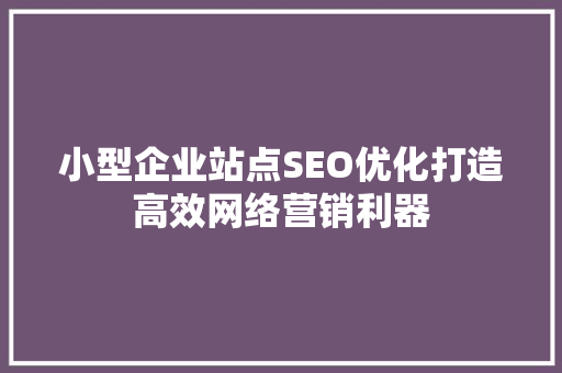 小型企业站点SEO优化打造高效网络营销利器