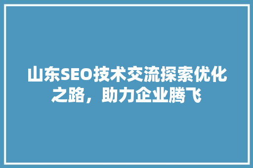 山东SEO技术交流探索优化之路，助力企业腾飞
