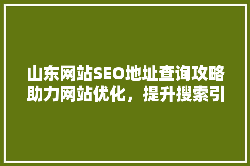 山东网站SEO地址查询攻略助力网站优化，提升搜索引擎排名