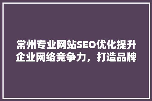常州专业网站SEO优化提升企业网络竞争力，打造品牌影响力