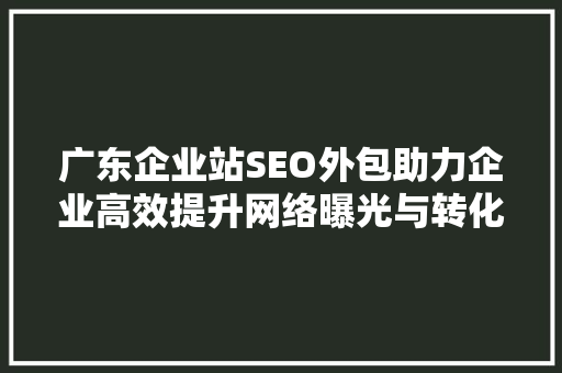 广东企业站SEO外包助力企业高效提升网络曝光与转化率