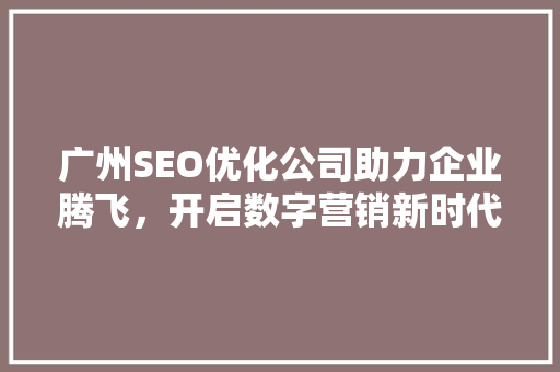广州SEO优化公司助力企业腾飞，开启数字营销新时代