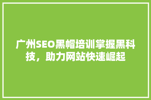 广州SEO黑帽培训掌握黑科技，助力网站快速崛起
