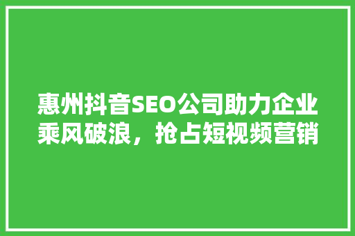 惠州抖音SEO公司助力企业乘风破浪，抢占短视频营销新风口