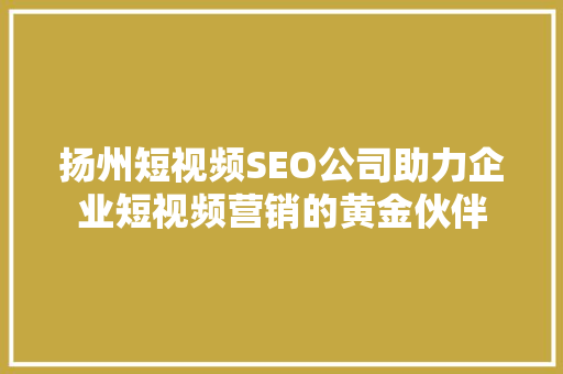 扬州短视频SEO公司助力企业短视频营销的黄金伙伴