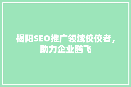 揭阳SEO推广领域佼佼者，助力企业腾飞
