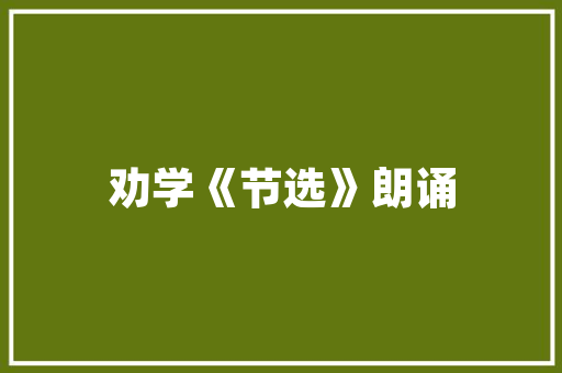 JavaScript图片特效技术与美学的完美融合