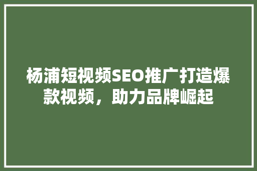 杨浦短视频SEO推广打造爆款视频，助力品牌崛起