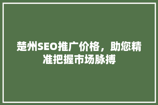 楚州SEO推广价格，助您精准把握市场脉搏