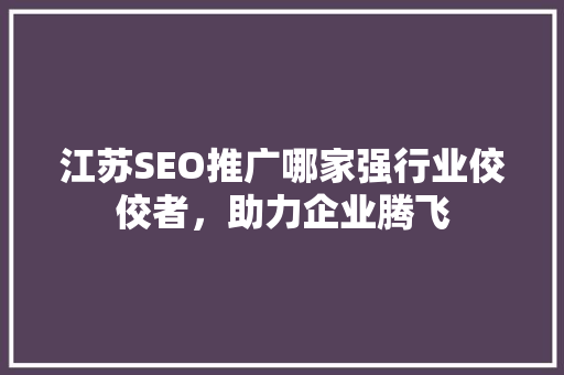 江苏SEO推广哪家强行业佼佼者，助力企业腾飞
