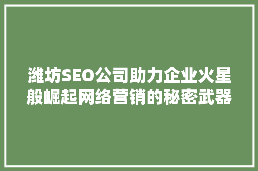 潍坊SEO公司助力企业火星般崛起网络营销的秘密武器  第1张