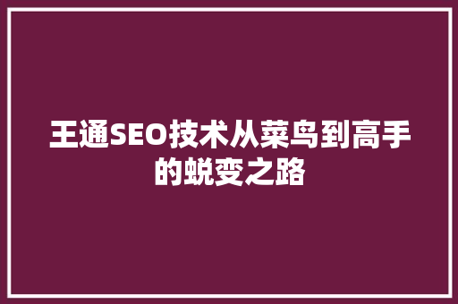 王通SEO技术从菜鸟到高手的蜕变之路