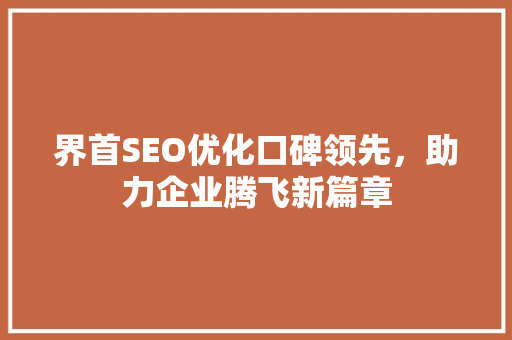 界首SEO优化口碑领先，助力企业腾飞新篇章