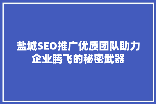 盐城SEO推广优质团队助力企业腾飞的秘密武器