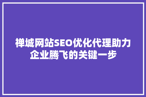 禅城网站SEO优化代理助力企业腾飞的关键一步