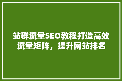 站群流量SEO教程打造高效流量矩阵，提升网站排名