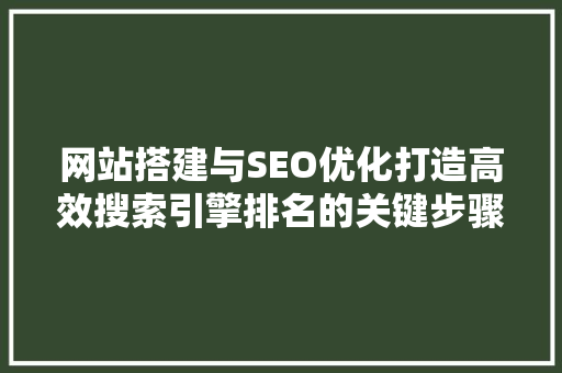网站搭建与SEO优化打造高效搜索引擎排名的关键步骤