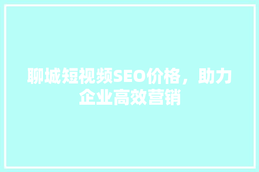 聊城短视频SEO价格，助力企业高效营销