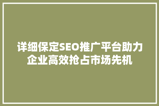 详细保定SEO推广平台助力企业高效抢占市场先机