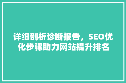 详细剖析诊断报告，SEO优化步骤助力网站提升排名