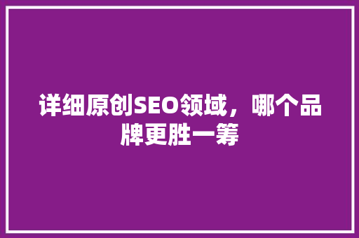 详细原创SEO领域，哪个品牌更胜一筹