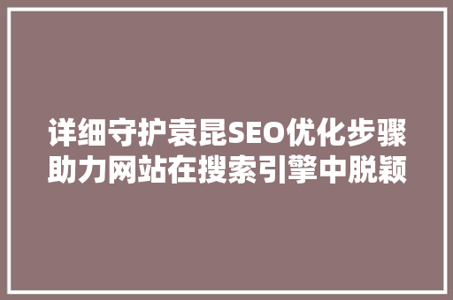 详细守护袁昆SEO优化步骤助力网站在搜索引擎中脱颖而出