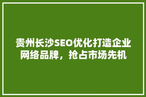 贵州长沙SEO优化打造企业网络品牌，抢占市场先机