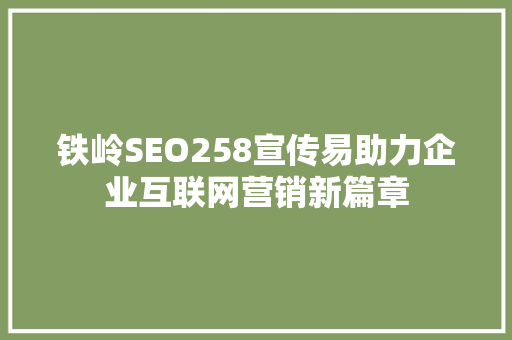 铁岭SEO258宣传易助力企业互联网营销新篇章