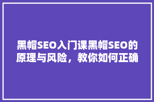 黑帽SEO入门课黑帽SEO的原理与风险，教你如何正确运用  第1张
