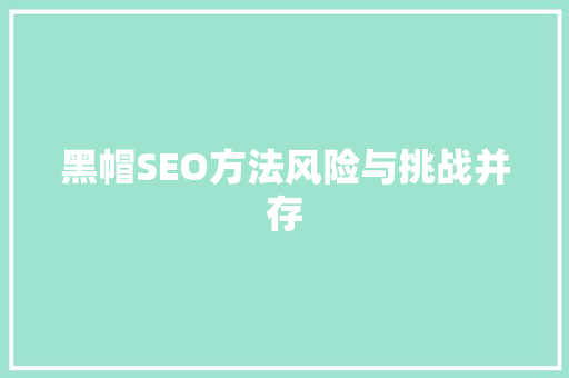 黑帽SEO方法风险与挑战并存