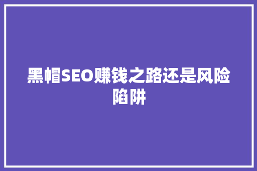 黑帽SEO赚钱之路还是风险陷阱