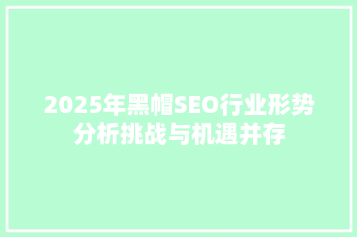2025年黑帽SEO行业形势分析挑战与机遇并存