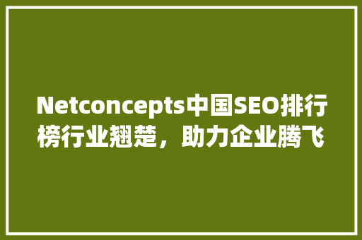 Netconcepts中国SEO排行榜行业翘楚，助力企业腾飞