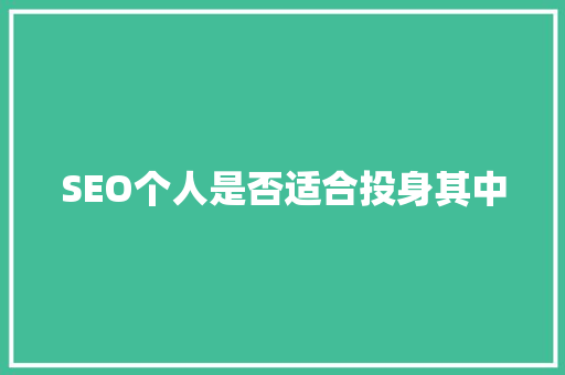 SEO个人是否适合投身其中