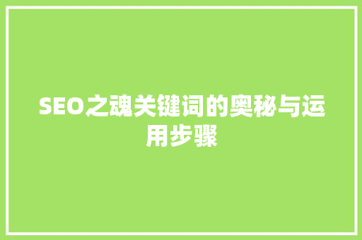 SEO之魂关键词的奥秘与运用步骤