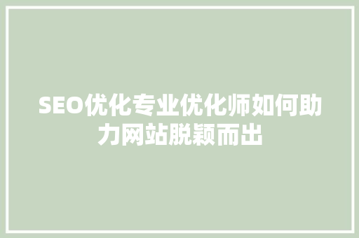 SEO优化专业优化师如何助力网站脱颖而出
