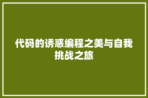 代码的诱惑编程之美与自我挑战之旅