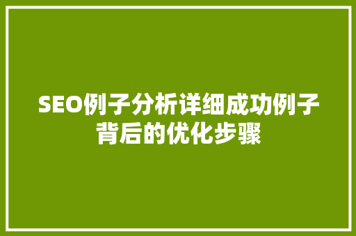 SEO例子分析详细成功例子背后的优化步骤
