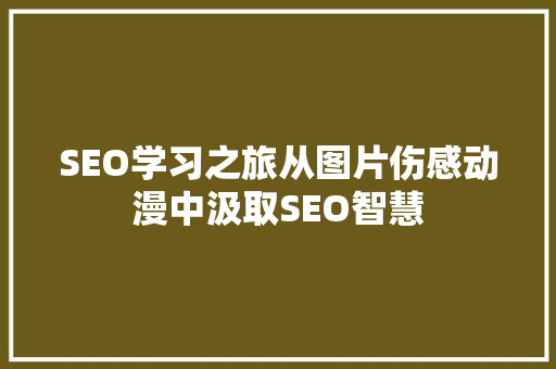 SEO学习之旅从图片伤感动漫中汲取SEO智慧