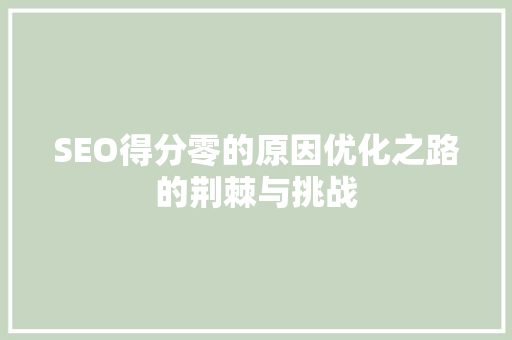 SEO得分零的原因优化之路的荆棘与挑战