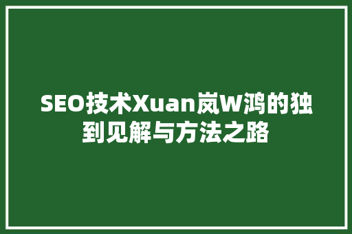 SEO技术Xuan岚W鸿的独到见解与方法之路