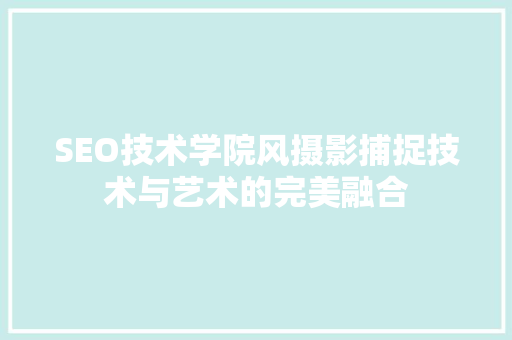SEO技术学院风摄影捕捉技术与艺术的完美融合