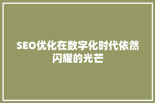 SEO优化在数字化时代依然闪耀的光芒