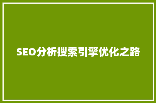 SEO分析搜索引擎优化之路