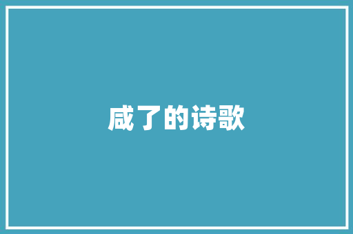 SEO学习之路编程能力的重要与提升步骤