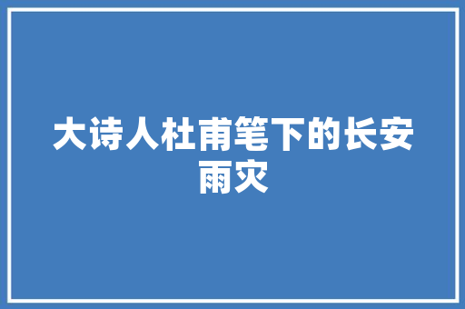 SEO学习难题为何学不明白