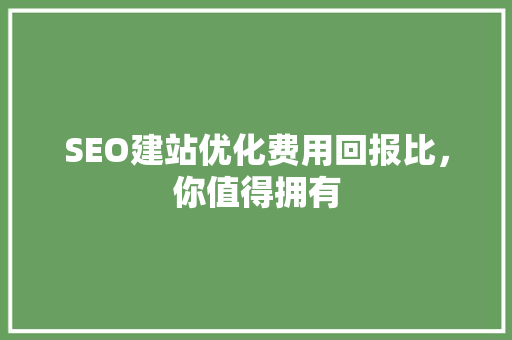 SEO建站优化费用回报比，你值得拥有