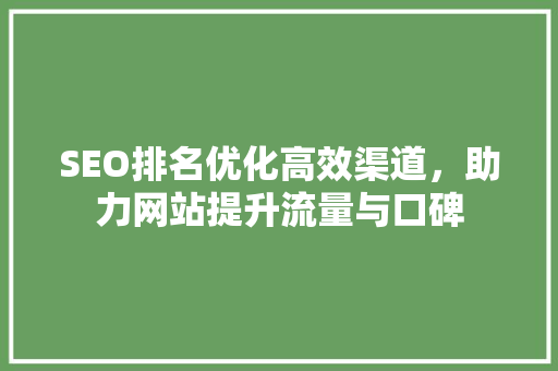 SEO排名优化高效渠道，助力网站提升流量与口碑